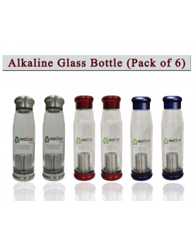 WELLON ANTIOXIDANT Alkaline Glass Water Bottle BPA Free & HYGIENIC and Portable Carry Case – 650ml (Pack of 6)